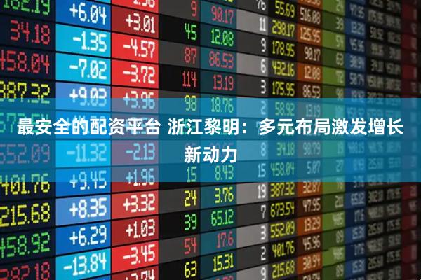 最安全的配资平台 浙江黎明：多元布局激发增长新动力